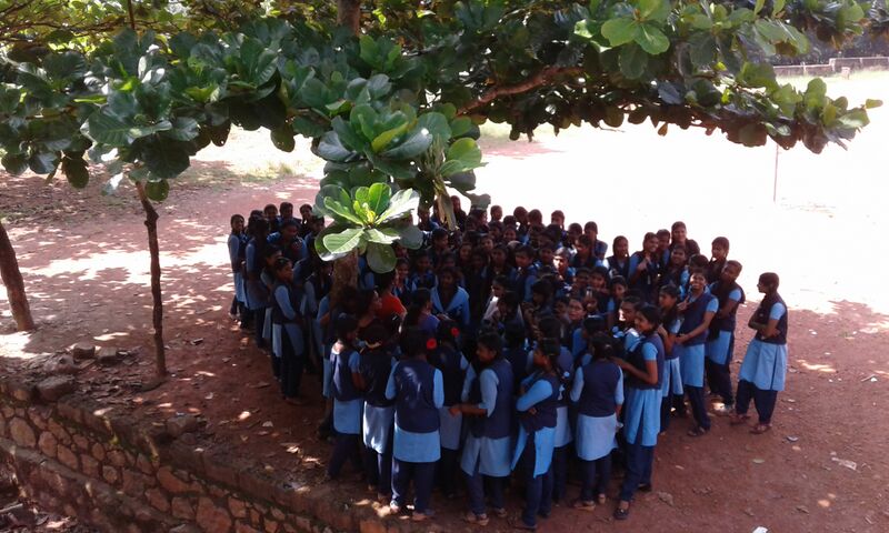 പ്രമാണം:20171114 133840.jpg