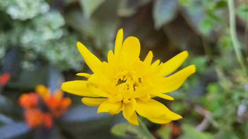 പ്രമാണം:29228 jama.jpg