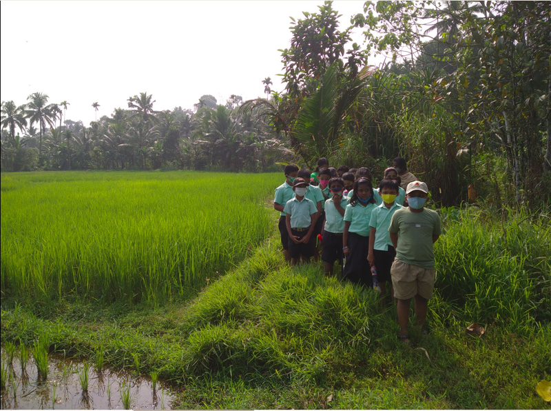 പ്രമാണം:31207 30.png