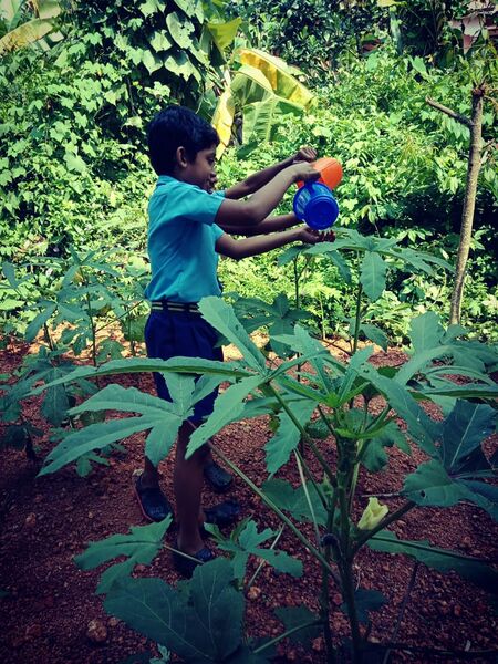 പ്രമാണം:37342 pachathuruthujpg.jpg