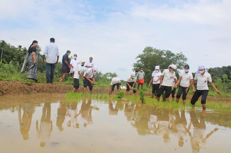 പ്രമാണം:42021 1003.jpg