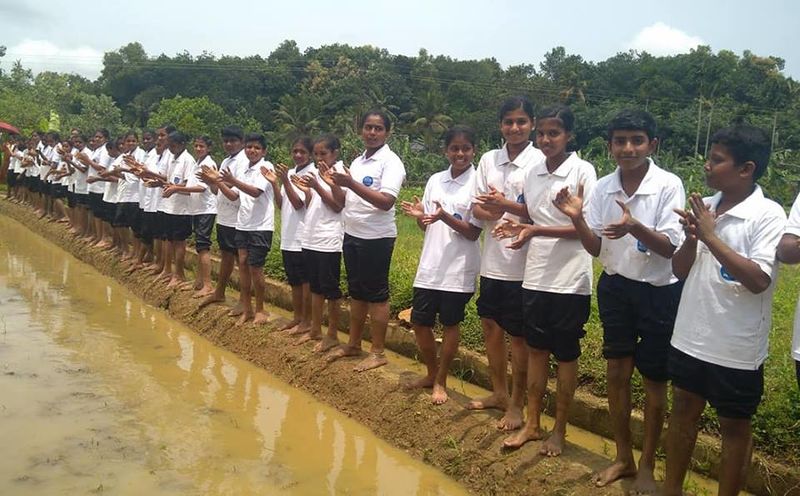 പ്രമാണം:42021 78930.jpg