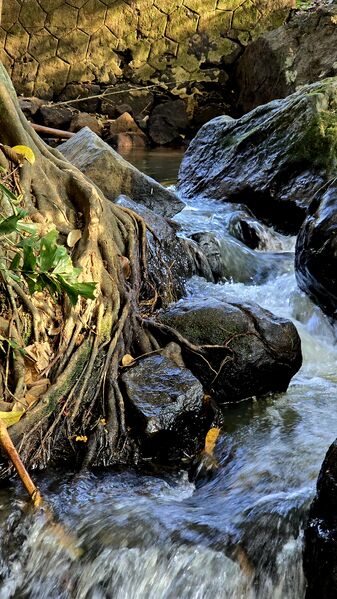 പ്രമാണം:42025 ente gramam.jpg