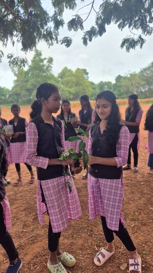 42050 haritha kerala 2.jpg