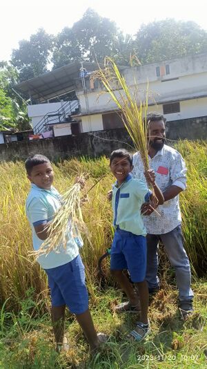 43428 fieldtrip6.jpg