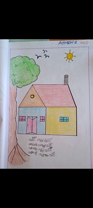 48437-mlp-kunj-aymen e.jpg