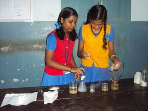 Chemmagic 35052 6.jpg