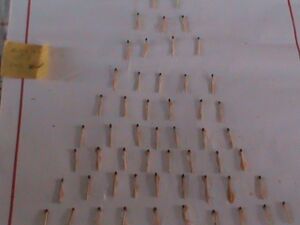 Maths st josephs.JPG