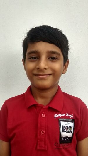 SNTD-KGD-11453 seed 04.jpeg