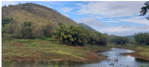 Screenshot from 2024-04-18 12-25-31.png