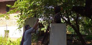 16514-gandi jayanthi.jpg