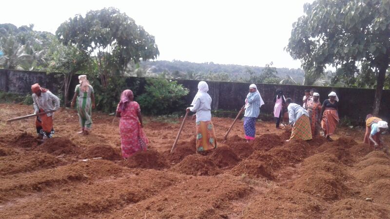 പ്രമാണം:19833 paddadikal50.jpg