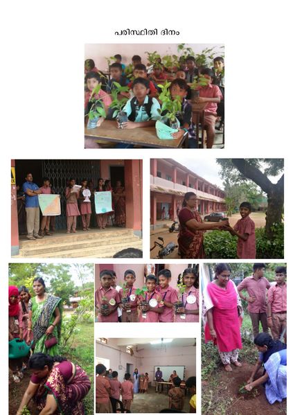 പ്രമാണം:21068 paristhidi dinam.jpg