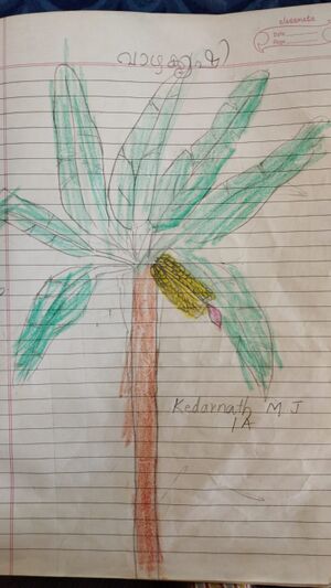 22413 TGR KUNJU KEDARNATH.jpg