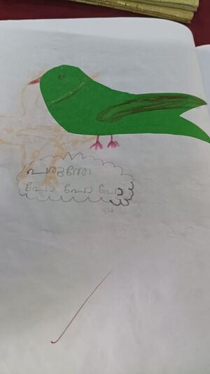 23212-TSR-KUNJ-EVANIYA SHIJO.jpg