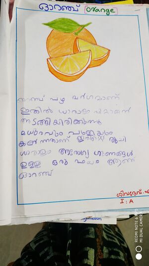 23302-TSR-KUNJ-SIVADEV M.jpg