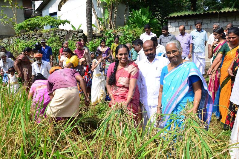 പ്രമാണം:29312 koithulsavam7.jpeg