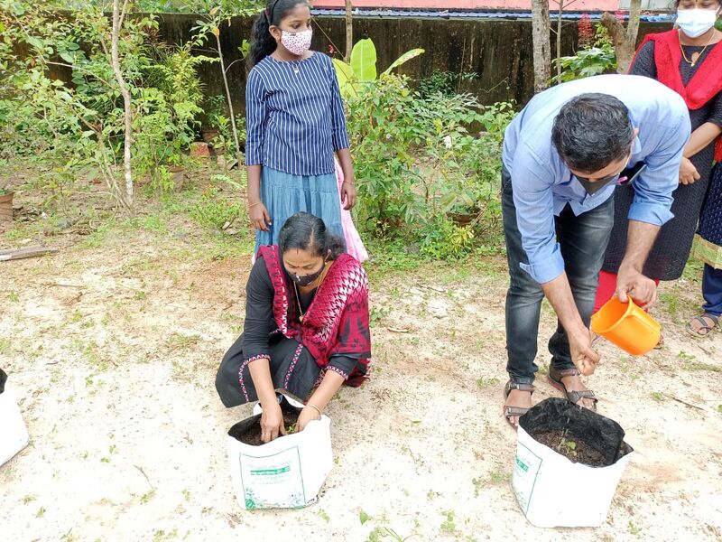 പ്രമാണം:35011 ms14.jpg