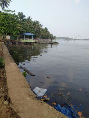 41076-koivila-boat jetty.jpg