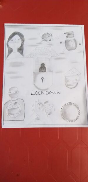 42662-lockdown.jpg