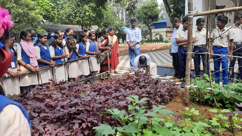 പ്രമാണം:44354 VEG 3.jpg