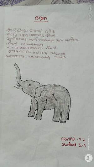 44372-TVM-KUNJ-PRAYAG P L.jpg