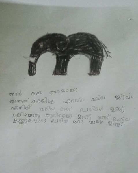 പ്രമാണം:44405-TVM-KUNJ-FEABA S.jpeg