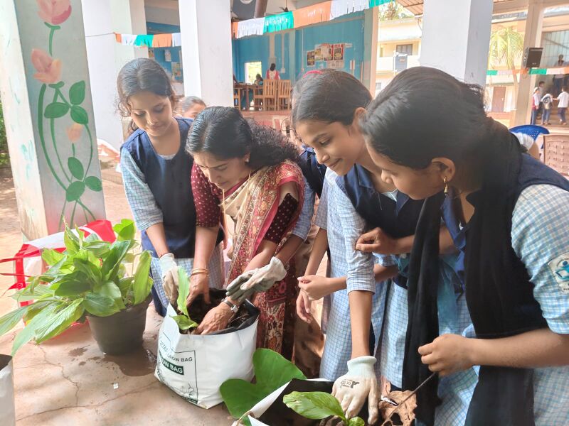 പ്രമാണം:12069 veg gardern4.jpg