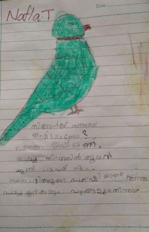 19639-MLP-KUNJ-NAFLA T.jpeg