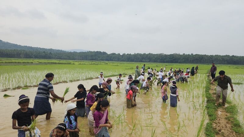 പ്രമാണം:19843-MLP-AMLPS PADINJAREKKARA-ENTE GRAMAM.jpg