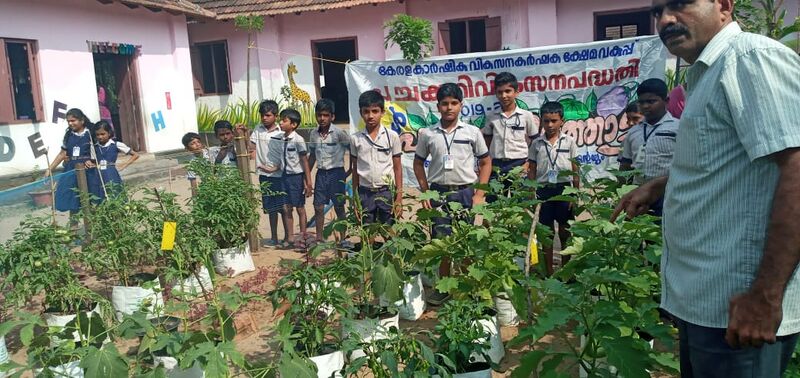 പ്രമാണം:35055 eco.jpg