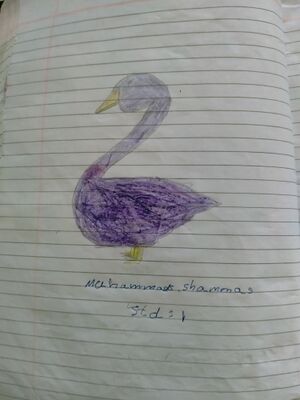 40210-KLM-KUNJ-MUHAMMED SHAMMAS.jpg