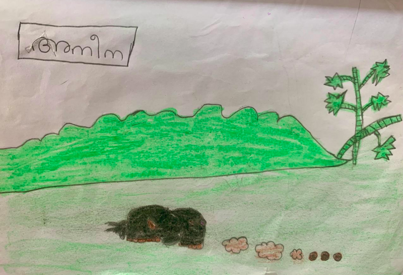 പ്രമാണം:48432-MLP-KUNJ-ANEENA FATHIMA K P.png