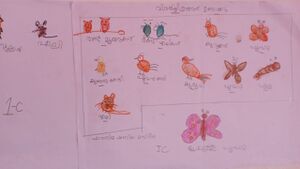 Fathimath shaziya 1 c.jpeg