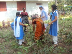 Jaivakrishi 14 35052 (4).JPG