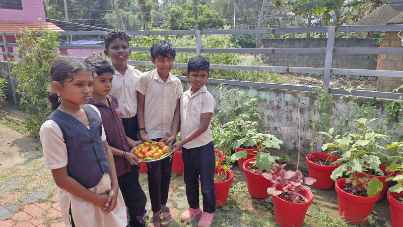 പ്രമാണം:Vegetable Harvest.jpg