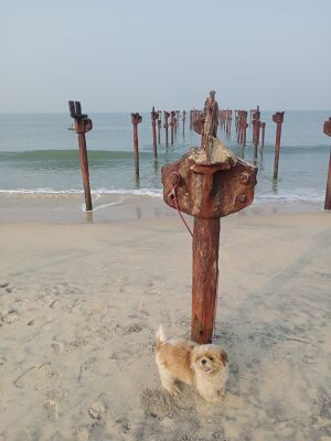 WhatsApp Image 2022-02-02 at 10.41.16 AM (1).jpeg