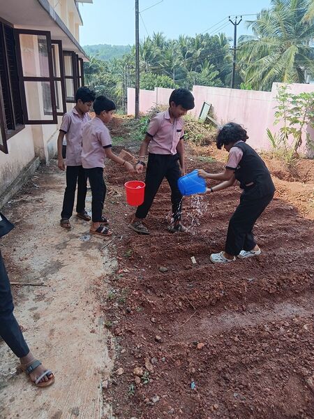 പ്രമാണം:12027 seed1.jpg