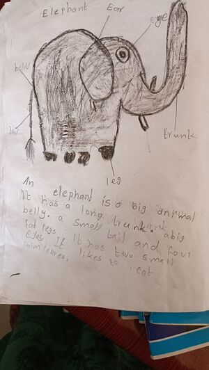 22675-TSR-KUNJ-VAIDIHYAA (1).jpg