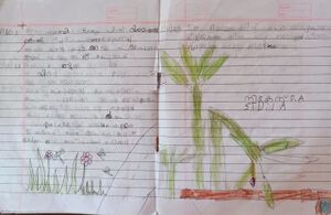 23354-TSR-KUNJ-NIKETH P M.jpeg