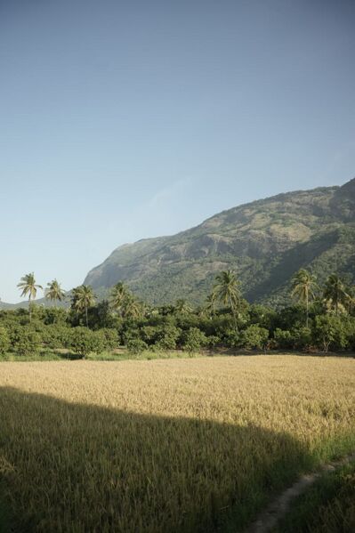 പ്രമാണം:24666 ente gramam1.jpg