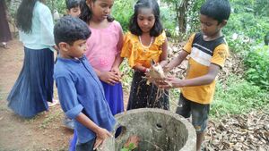 31202 environmental day.jpg