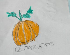 35211-ALP-KUNJ-MUHAMMED WASIM ASHKAR.jpeg.jpg