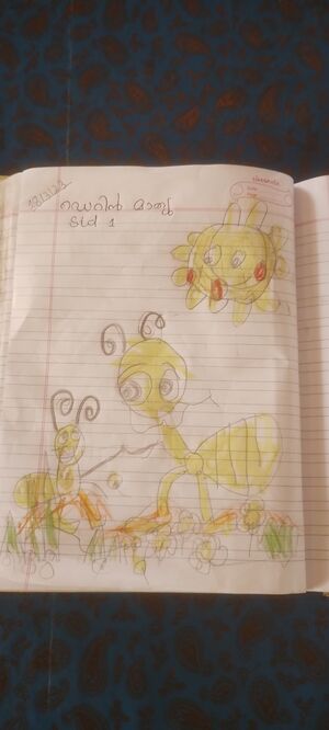 38240 PTA KUNJ DERIN.jpg