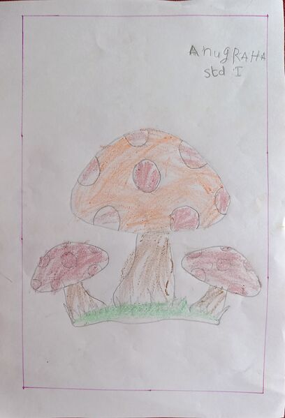 പ്രമാണം:40217-KLM-KUNJ-ANUGRAHA D S.jpg