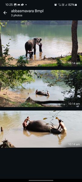 പ്രമാണം:43240 tour6.jpeg