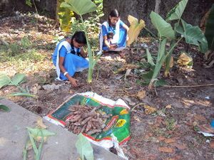 Jaivakrishi 35052 1.jpg