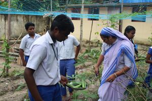 Krushi 19 35052 3.jpg