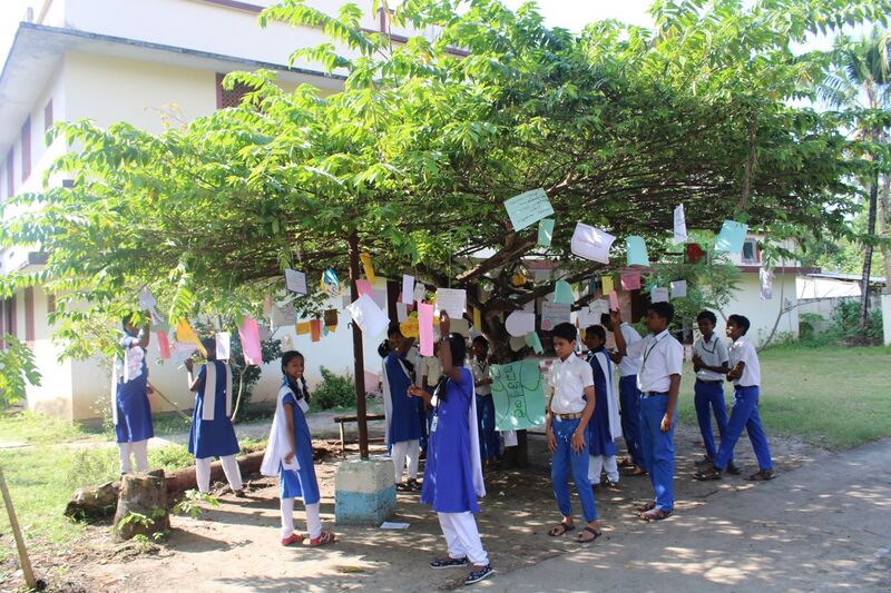 പ്രമാണം:Malayalamaram 35052 1.jpg