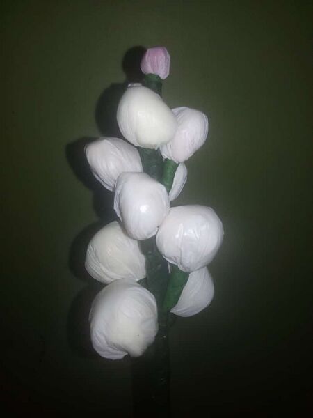 പ്രമാണം:We4 43065.jpeg